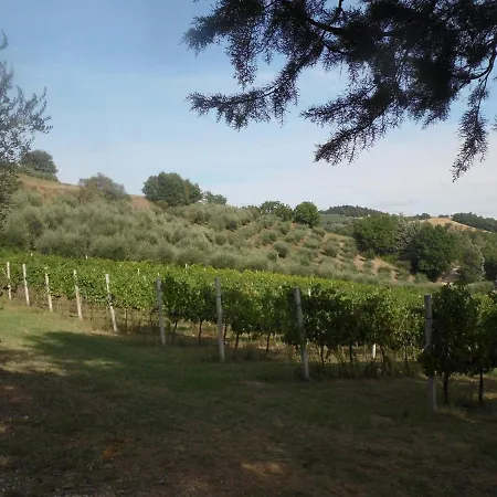 Podere Caldaruccio La Pineta Chalet בית נופש