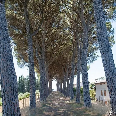 Podere Caldaruccio La Pineta Chalet *