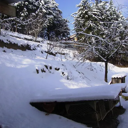 Podere Caldaruccio La Pineta Chalet בית נופש Ramazzano - Le Pulci