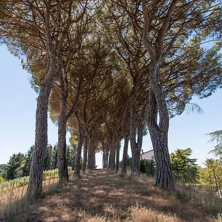 Podere Caldaruccio La Pineta Chalet Ramazzano - Le Pulci